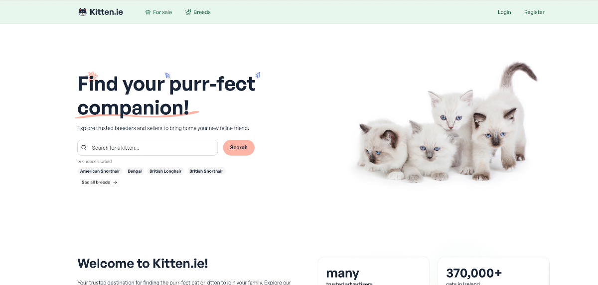 Kittens for sale