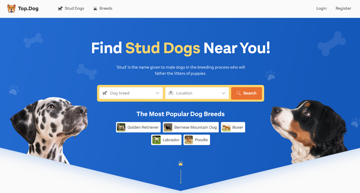 top.dog
